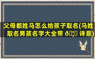 父母都姓马怎么给孩子取名(马姓取名男孩名字大全带 🦈 诗意)